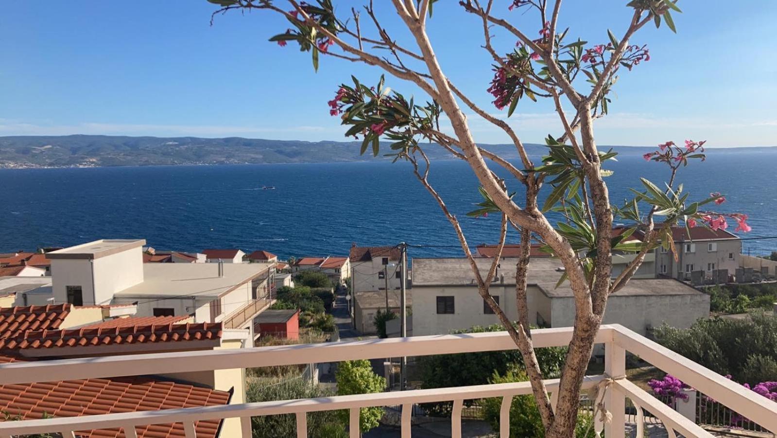 דוגי ראט Guest House Adria מראה חיצוני תמונה